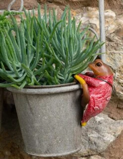 Jardinopia Pot Buddies - Beatrix Potter: Mr Jeremy Fisher -Disney JPBBP03C 2