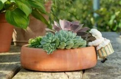 Jardinopia Pot Buddies - Beatrix Potter: Mrs Tiggy-winkle -Disney JPBBP04C 2