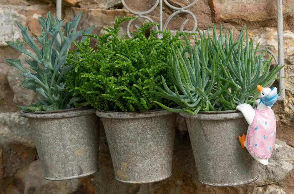 Jardinopia Pot Buddies - Beatrix Potter: Jemima Puddle-duck 6 Jardinopia Pot Buddies - Beatrix Potter: Jemima Puddle-duck - Image 4