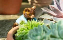 Jardinopia Pot Buddies - Beatrix Potter: Tom Kitten -Disney JPBBP06C 3