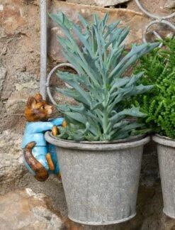 Jardinopia Pot Buddies - Beatrix Potter: Tom Kitten -Disney JPBBP06C 7