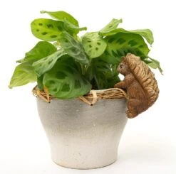 Jardinopia Pot Buddies - Beatrix Potter: Squirrel Nutkin -Disney JPBBP07C 1