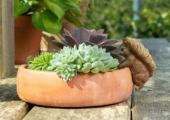 Jardinopia Pot Buddies - Beatrix Potter: Squirrel Nutkin -Disney JPBBP07C 3