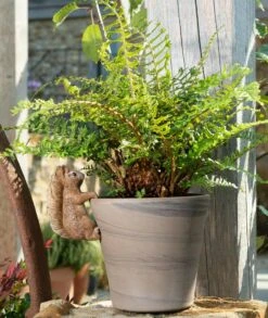 Jardinopia Pot Buddies - Beatrix Potter: Squirrel Nutkin -Disney JPBBP07C 4