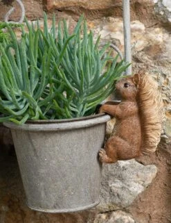 Jardinopia Pot Buddies - Beatrix Potter: Squirrel Nutkin -Disney JPBBP07C 6