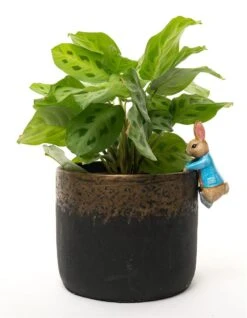 Jardinopia Pot Buddies - Beatrix Potter: Peter Rabbit Hanging On The Pot -Disney JPBBP09C 5
