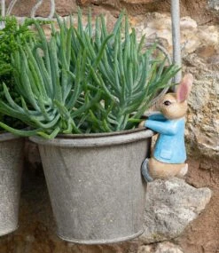 Jardinopia Pot Buddies - Beatrix Potter: Peter Rabbit Hanging On The Pot -Disney JPBBP09C 6