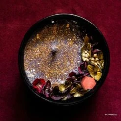 Harry Potter X Short Story Candle - Gryffindor -Disney SSWB HP 2201 2