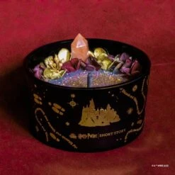 Harry Potter X Short Story Candle - Gryffindor -Disney SSWB HP 2201 3