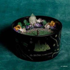 Harry Potter X Short Story Candle - Slytherin -Disney SSWB HP 2202 3