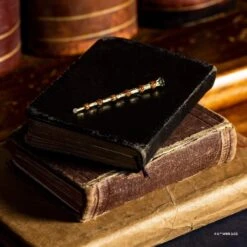 Harry Potter X Short Story Trinkets Pouch - Lumos -Disney SSWB HP 2227 2