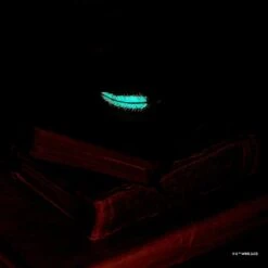 Harry Potter X Short Story Trinkets Pouch - Wingardium Leviosa -Disney SSWB HP 2228 3